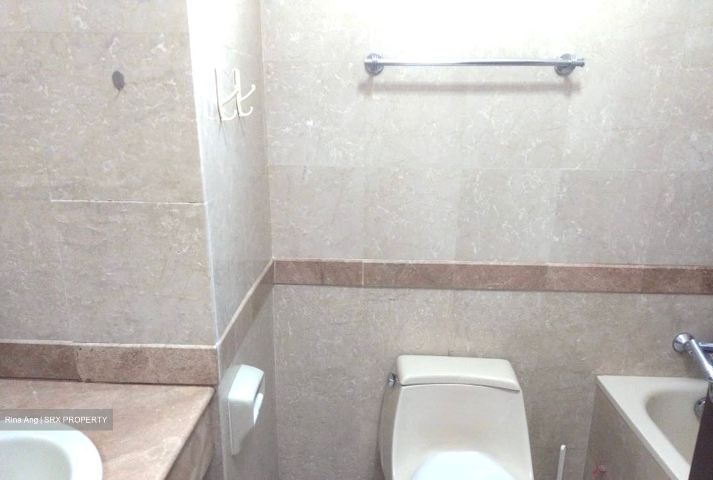 Tanglin Regency (D10), Condominium #603762791